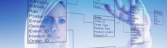 Technology Procurement in Tampa, Florida