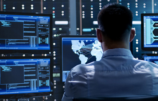 Software as a Service Integration and Customization Software as a Service Integration and Customization