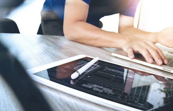 SharePoint Intranet Design in Tampa, Florida