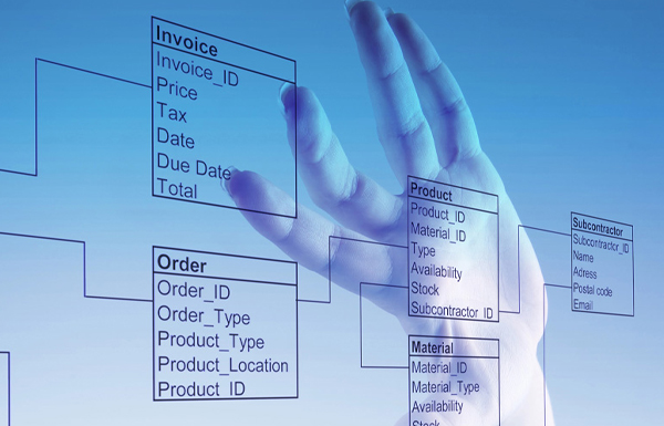 Technology Procurement in Tampa, Florida